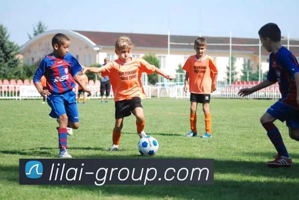 多媒体互动体验